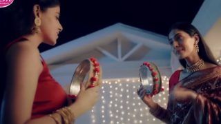 लेस्बियन जोड़े का करवाचौथ मनाने वाला विज्ञापन जनता की असहिष्णुता की वजह से वापस लिया गया: जस्टिस चंद्रचूड़