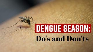 Health Tips: What Is Dengue Fever? Causes, Symptoms And Preventive Measures, EXPLAINED | Watch Video