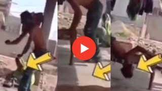 Funny Video: चारपाई पर शीर्षासन कर रहा था शख्स, पर उसके बाद जो हुआ यकीन नहीं होगा | देखिए वीडियो