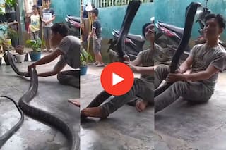 Cobra Ka video: घर में आ गया 15 फीट लंबा खतरनाक कोबरा, फिर जो हुआ देखकर हिल जाएंगे | Viral हुआ ये Video
