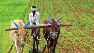 PM Kisan 14th Installment: इंतजार होगा खत्म आपके खाते में जल्द आएगी PM किसान की 14वीं किस्त, जानें-कैसे ऑनलाइन करें अप्लाई?