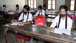 Schools in Nagpur For Classes 1 To 8 To Remain Shut Till Jan 31 Amid COVID Cases | Details Here