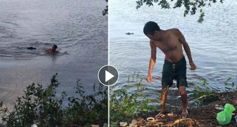 Massive Alligator Attacks Swimmer & Bites His Arm, Video Leaves Twitter Horrified | Watch