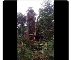 Viral Video: Huge Snake is Lifted by Crane, Its Size Will Give You Goosebumps | WATCH Here