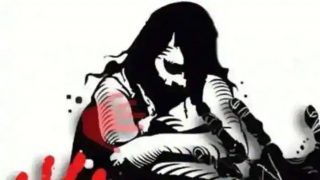 School Girl Kidnapped, Gang-raped in Karnataka's Dakshina Kannada; 2 Arrested