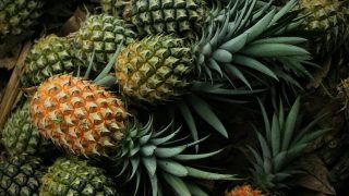 Can Vegan Leather be Produced From Pineapple? Meghalaya Govt All Set to Explore It