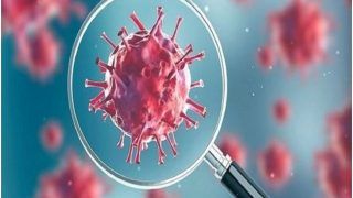 Covid 19 Updates: 24 घंटे में 226 की मौत, 15 हजार से ज्यादा नए मामले; 22 हजार से ज्यादा ठीक हुए