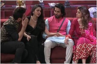 Bigg Boss 15 Weekend Ka Vaar: No Elimination This Week on Salman Khan's Show