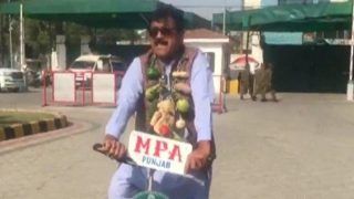 Unique Protest: Pakistan Minister Wears Garland Made of Potatoes, Tomatoes & Capsicum to Assembly