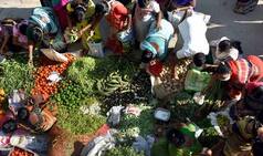 Brinjal At Rs 60 Per Kg: Vegetable Prices Shot Up in Odisha Due to Flood, Supply Chain Disruption
