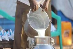 National Milk Day Marks 'Milk Man of India' Dr Verghese Kurien's Birth Centenary