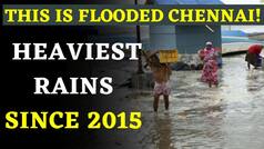 Chennai Rains 2021 Latest Update: Heaviest Rainfall Since 2015 | City Flooded, Schools And Colleges Shut; Rains to Continue