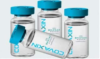 WHO की Covaxin को मंजूरी से आसान हो जाएगी अंतरराष्ट्रीय यात्रा, विदेश मंत्रालय ने कहा- कई देशों से बात कर रहे हैं