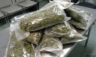 Ganja Online Sale Case: एमपी पुलिस ने अमेजन इंडिया के कार्यकारी निदेशकों के खिलाफ दर्ज किया केस