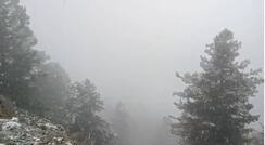 Videos: Fresh Snowfall in Higher Reaches of Kashmir Including Gulmarg, Sonamarg | WATCH