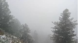 Videos: Fresh Snowfall in Higher Reaches of Kashmir Including Gulmarg, Sonamarg | WATCH