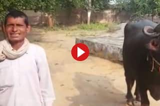 Funny Video: भैंस ने दूध नहीं दिया तो थाने पहुंच गया शख्स, फिर पुलिसवाले से जो कहा सुनकर हंसी नहीं रुकेगी | देखिए Video