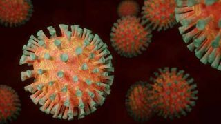 Omicron Symptoms: भारत में मिले कोरोना के 'ओमिक्रॉन' वेरिएंट में कैसे हैं लक्षण? सरकार ने दी यह जानकारी