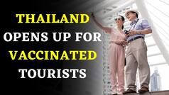 Thailand Opens up For Vaccinated Tourists: Thailand Travel Guidelines And Quarantine Rules Explained | WATCH Video