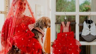 Patralekhaa Twins With Her Dog In Stunning Sabyasachi Ensemble On Wedding Day, Unseen Photos Will Make Your Jaws Drop