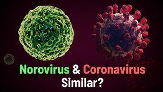 Norovirus and Coronavirus Related? Doctor Pruthu Narendra Dhekane, Fortis Hospital Explains | Watch Video