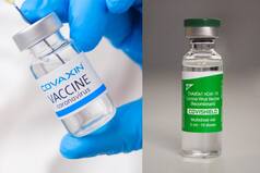 Jabbed With Covishield or Covaxin? Here's Latest New Zealand Travel Rules
