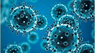 Japan Confirms 2nd Case of Omicron Variant, Infected Patient From Peru in Quarantine Now