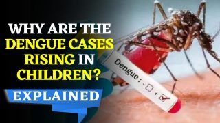 Dengue Outbreak: Dengue Cases Rise In Children At An Alarming Rate, Know Reasons And Precautionary Measures Here | Watch Video