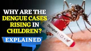 Dengue Outbreak: Dengue Cases Rise In Children At An Alarming Rate, Know Reasons And Precautionary Measures Here | Watch Video