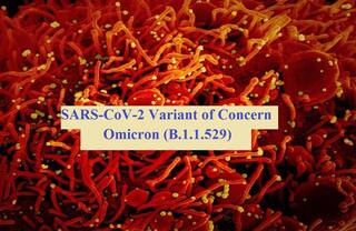 First Picture of 'Omicron' Covid Variant Shows More than Double the Mutations of Delta