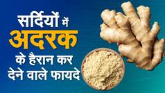 Health Benefits Of Ginger: सर्दियों में अदरक का रोज़ाना सेवन करना देता है यह बेमिसाल फायदे, रखेगा स्वस्थ संबंधी परेशानियों को दूर| वीडियो देखें