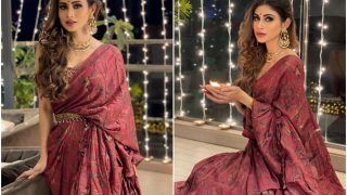 Mouni Roy Looks Splendid in Hand-Painted Maroon Saree Worth Rs 35K - A Hit or a Miss?
