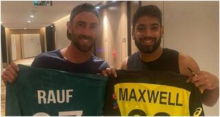 T20 WC: Glenn Maxwell Exchanges Jersey With 'Superstar' Haris Rauf After Pakistan vs Australia Match