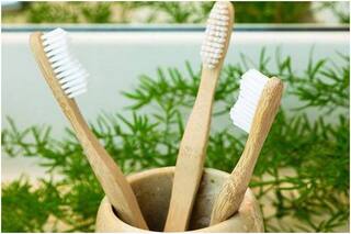 4 Reasons Why You Should Switch to Bamboo Toothbrushes on a Daily Basis Right Away!