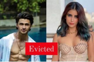 Bigg Boss 15 Double Eviction: After Miesha Iyer, Ieshaan Sehgaal Gets Eliminated From The House