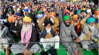 Farm Laws: Farmer Leaders Welcome Govt's Decision to Repeal Laws on Guru Nanak Jayanti