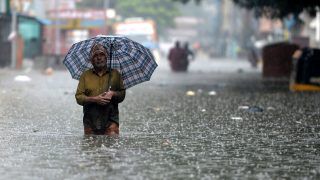 Tamil Nadu Rain Alert: Schools, Colleges Closed in Chennai, 6 More Districts as IMD Predicts Heavy Rains. List Here