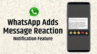 WhatsApp Update: WhatsApp Rolls Out With Message Reaction Notification Feature For Android Users, Watch Video