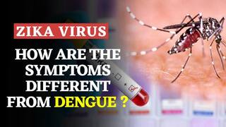 Zika Virus Outbreak: कितना खतरनाक है जीका वायरस? जानिए जीका वायरस और डेंगू के बीच अंतर | Watch Video