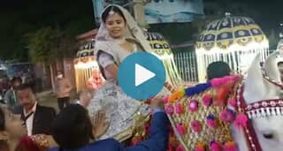 Air Hostess Bride Leads Her Own Baarat, Rides Horse to Groom's House in Bihar's Gaya | Watch