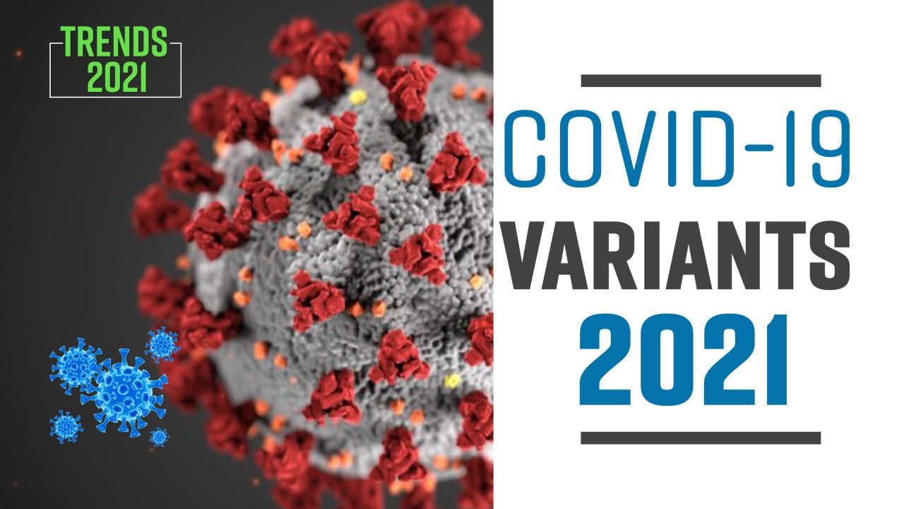 Covid-19 Variants List 2021: How Many Variants of Coronavirus Troubled This Year | Watch Video to Find Out