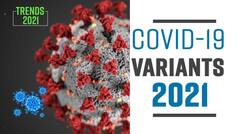 Covid-19 Variants List 2021: How Many Variants of Coronavirus Troubled This Year | Watch Video to Find Out
