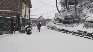 Stunning Fresh Snowfall PICS of Kufri, Narkanda in Himachal Will Make You Want to Travel