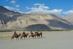 Visiting Ladakh? Check Latest Omicron-Related Travel Guidelines