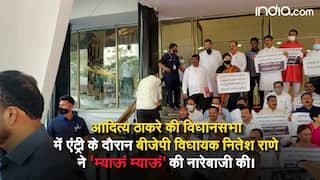 Maharashtra Latest News: आदित्य ठाकरे की विधानसभा में एंट्री के दौरान बीजेपी विधायक नितेश राणे ने 'म्याऊं म्याऊं' की नारेबाजी की | Watch