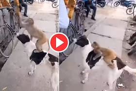 india.com top news