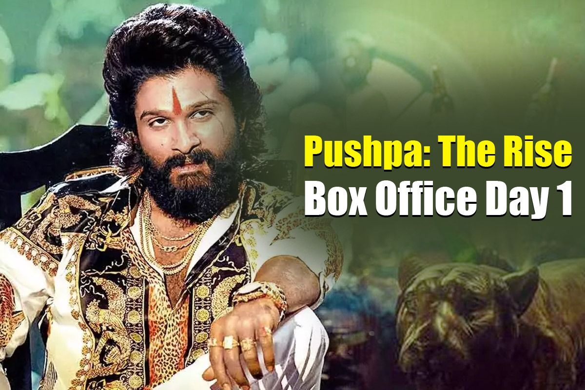 Office box arjun allu collection pushpa 'Pushpa' Day