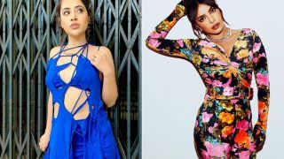 Urfi Javed, Neha Bhasin, Priyanka Chopra, And Other Celebs Who Wore Most Outrageous Outfits in 2021