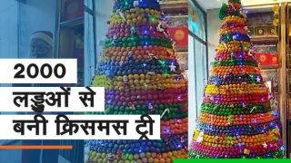 Ladoo Christmas Tree: क्रिसमस के अवसर पर लड्डुओं से बनाया गया क्रिसमस ट्री, देखें वायरल वीडियो | Must Watch