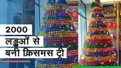 Ladoo Christmas Tree: क्रिसमस के अवसर पर लड्डुओं से बनाया गया क्रिसमस ट्री, देखें वायरल वीडियो | Must Watch